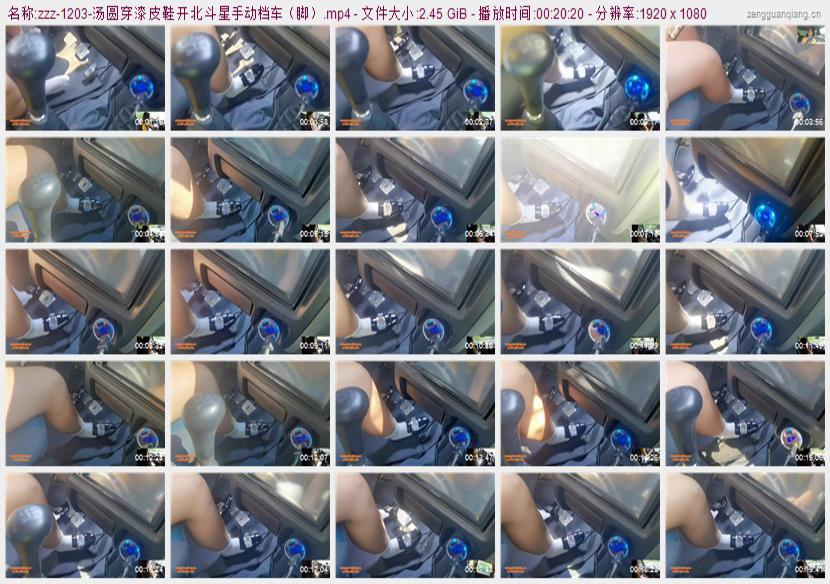 zzz-1203